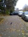 неправилно паркиране